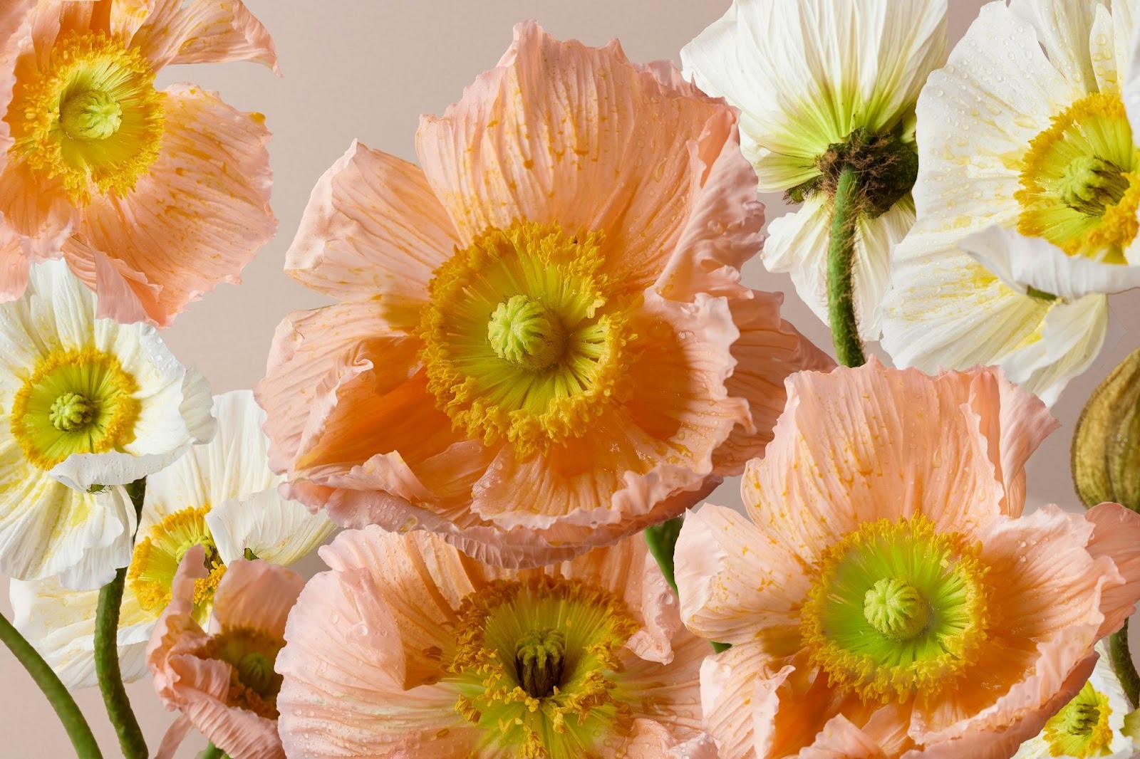 15 Spring Fitness Challenges Ideas to Get Your Group Moving