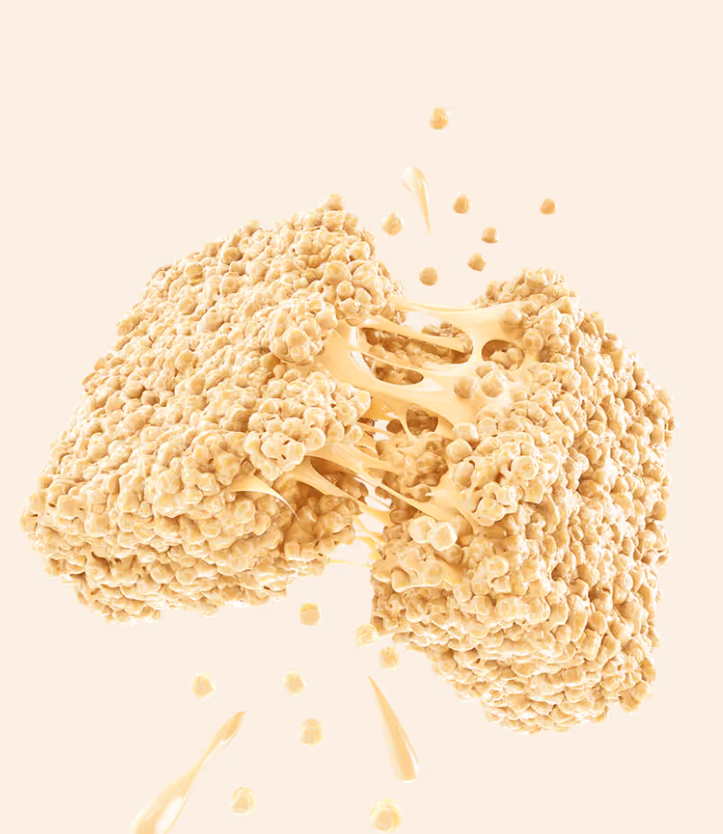 Protein Puff Bars
