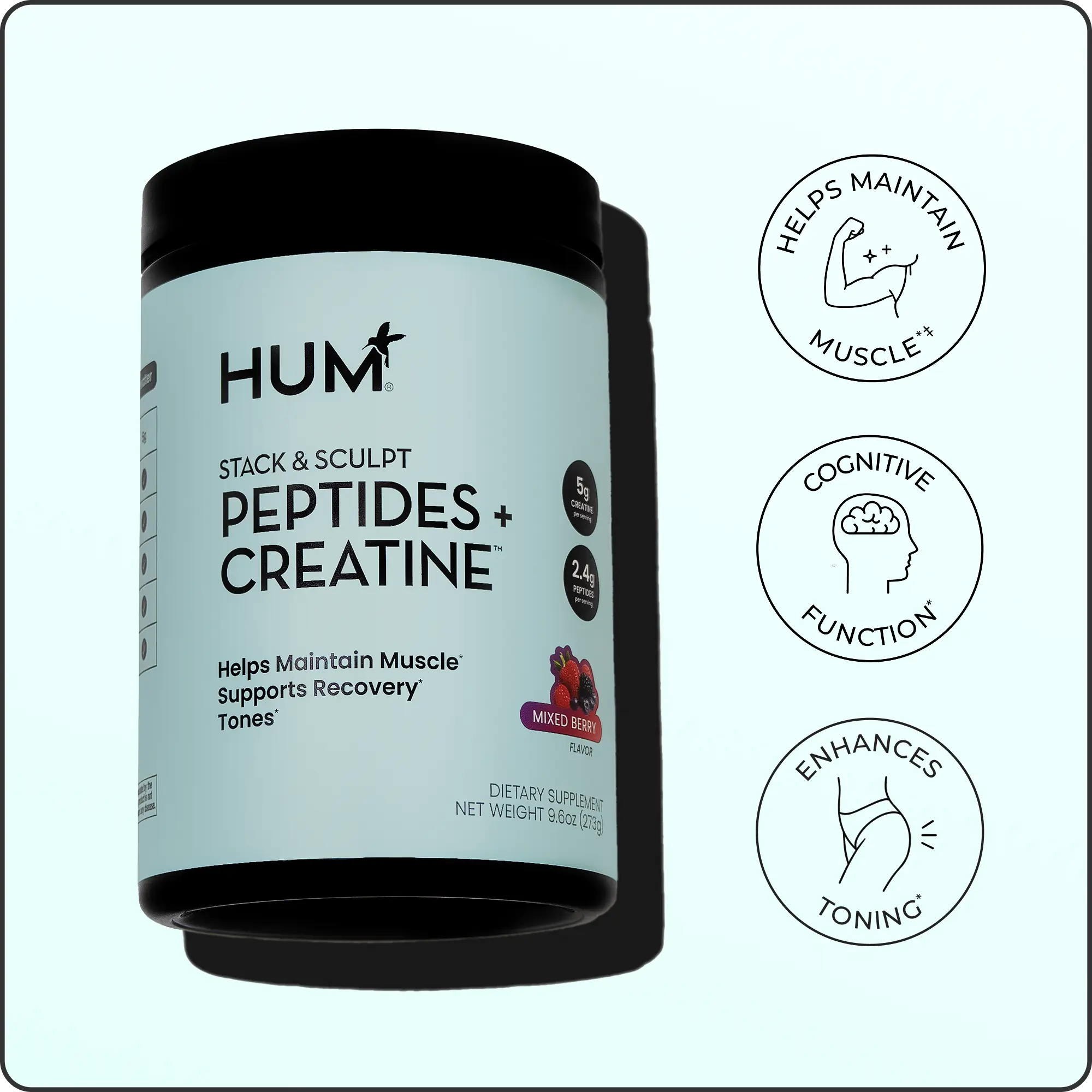 Stack & Sculpt Creatine + Peptides